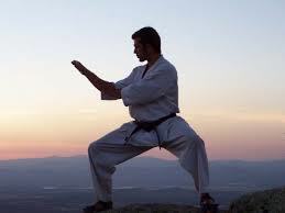 Karateschule MIGO